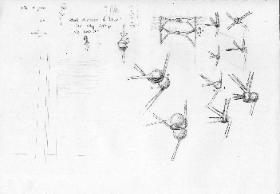 Orchid Clasp sketches by Anne Annabelle Jones